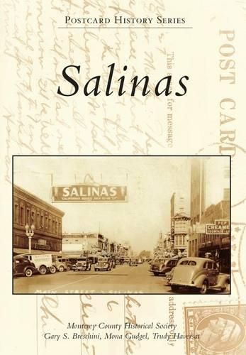 Cover image for Salinas