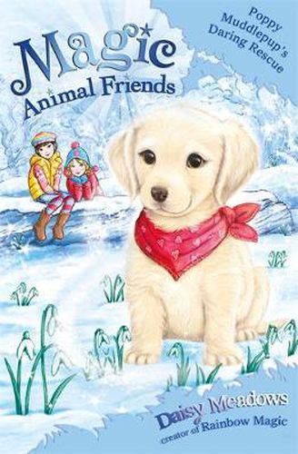 Cover image for Magic Animal Friends: Poppy Muddlepup's Daring Rescue: Special 1