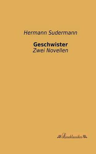 Cover image for Geschwister: Zwei Novellen