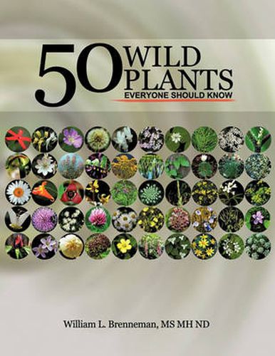 Cover image for 50 Wild Plants Everyone Should Know