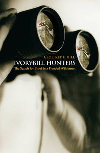 Cover image for Ivorybill Hunters: Search for Proof in a Flooded Wilderness