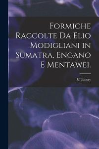 Cover image for Formiche Raccolte Da Elio Modigliani in Sumatra, Engano E Mentawei.