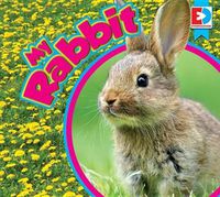 Cover image for My Rabbit