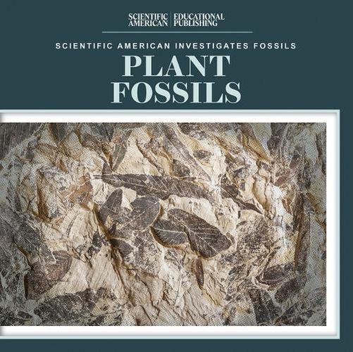 Cover image for Plant Fossils