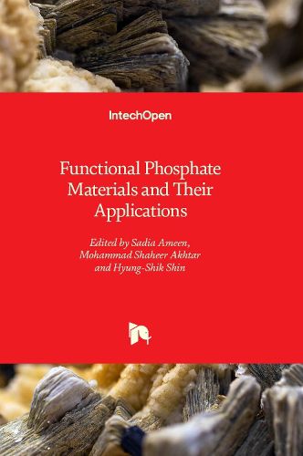 Cover image for Functional Phosphate Materials and Their Applications