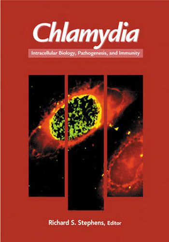 Cover image for Chlamydia: Intracellular Biology, Pathogenesis, and Immunity