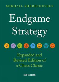 Cover image for Endgame Strategy: The Revised and Expanded Edition of a Chess Classic