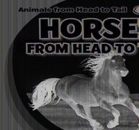 Cover image for Horses from Head to Tail