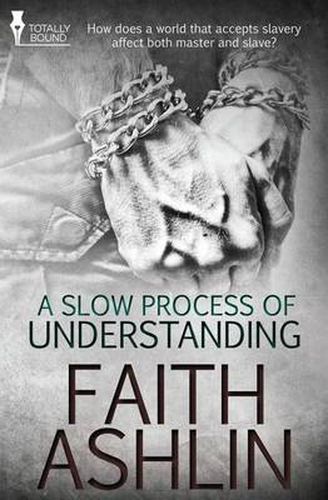 Cover image for A Slow Process of Understanding