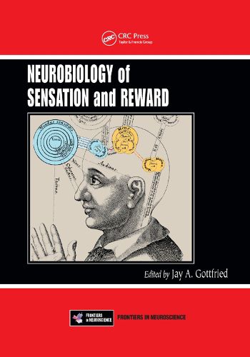 Cover image for Neurobiology of Sensation and Reward