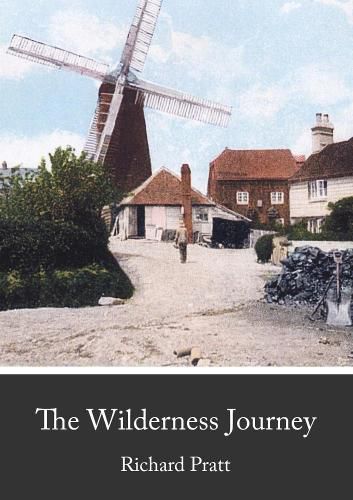 Cover image for The Wilderness Journey