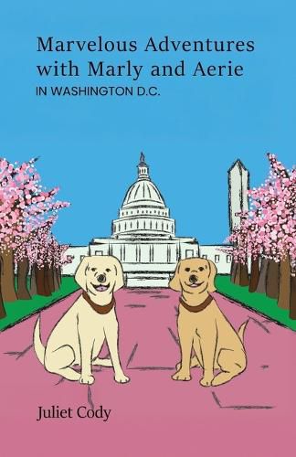 Cover image for Marvelous Adventures with Marly and Aerie in Washington D.C.