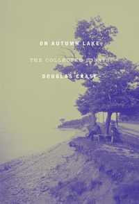 Cover image for On Autumn Lake: Collected Essays