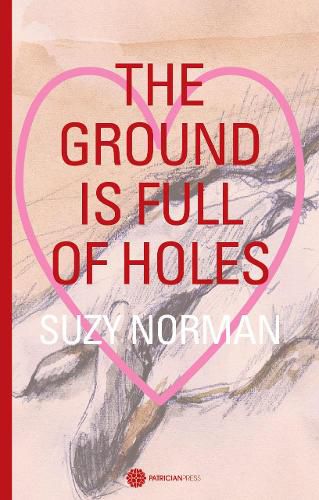 Cover image for The Ground is full of holes