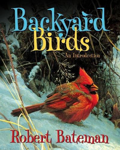 Cover image for Backyard Birds: An Introduction