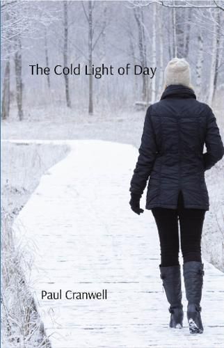 Cover image for The Cold Light of Day