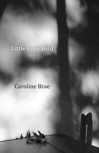 Cover image for Little Grey Bird
