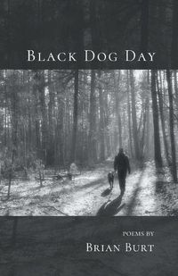 Cover image for Black Dog Day
