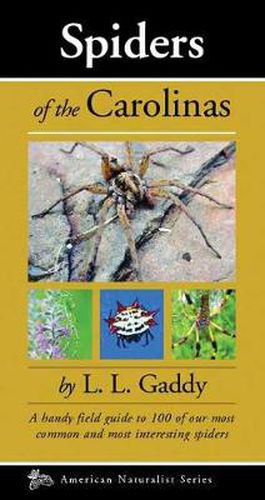 Cover image for Spiders of the Carolinas: A handy field guide to 100 of our most common and interesting spiders