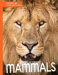 Cover image for Mammals