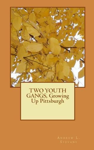 Cover image for TWO YOUTH GANGS, Growing Up Pittsburgh