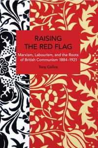 Cover image for Raising the Red Flag