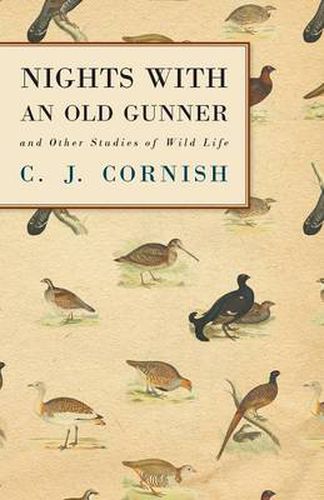 Cover image for Nights with an Old Gunner and Other Studies of Wild Life