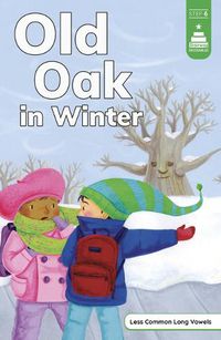 Cover image for Old Oak in Winter