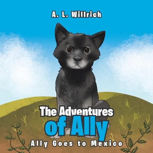 Cover image for The Adventures of Ally: Ally Goes to Mexico