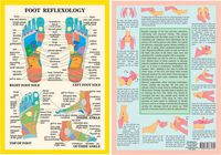 Cover image for Foot Reflexology -- A4