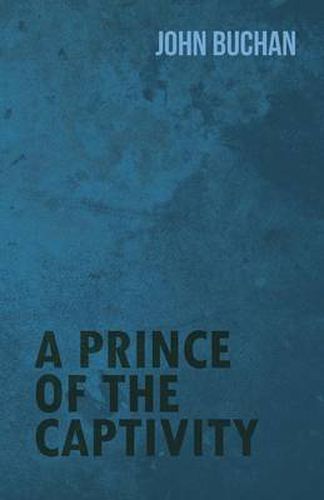 Cover image for A Prince of the Captivity