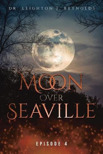 Cover image for Moon over Seaville