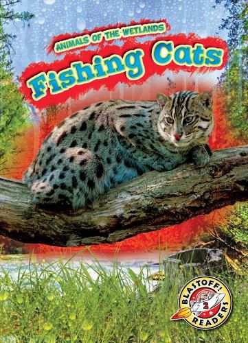 Fishing Cats