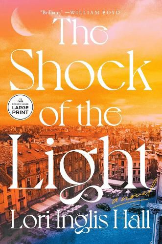 Cover image for The Shock of the Light