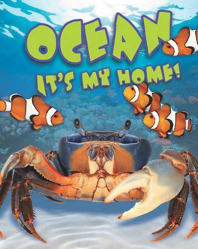 Cover image for Ocean: It's My Home!