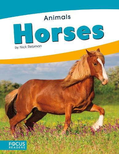 Cover image for Animals: Horses