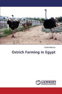 Cover image for Ostrich Farming in Egypt