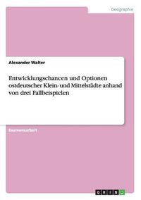 Cover image for Entwicklungschancen Und Optionen Ostdeutscher Klein- Und Mittelstadte Anhand Von Drei Fallbeispielen