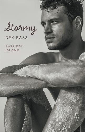 Cover image for Stormy