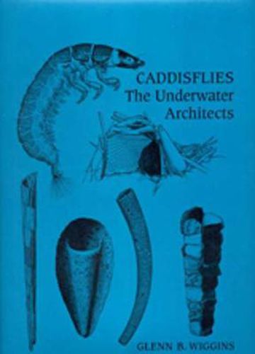 Caddisflies: The Underwater Architects