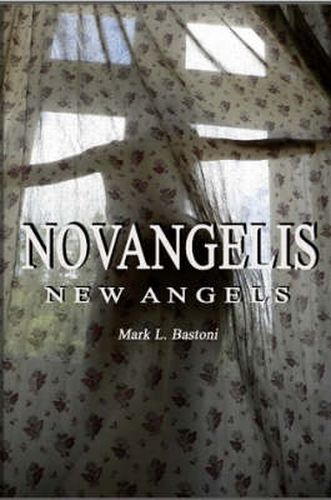 Cover image for Novangelis (New Angels)