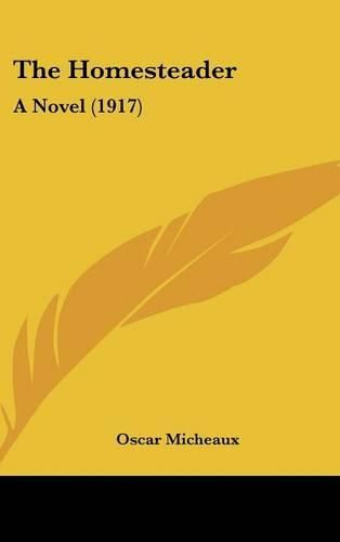 Cover image for The Homesteader: A Novel (1917)