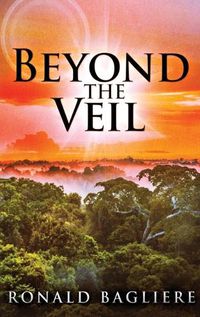 Cover image for Beyond the Veil