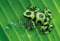 Cover image for Vanishing Act: The Artistry of Animal Camouflage