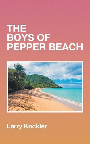 Cover image for The Boys of Pepper Beach