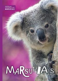 Cover image for Marsupials