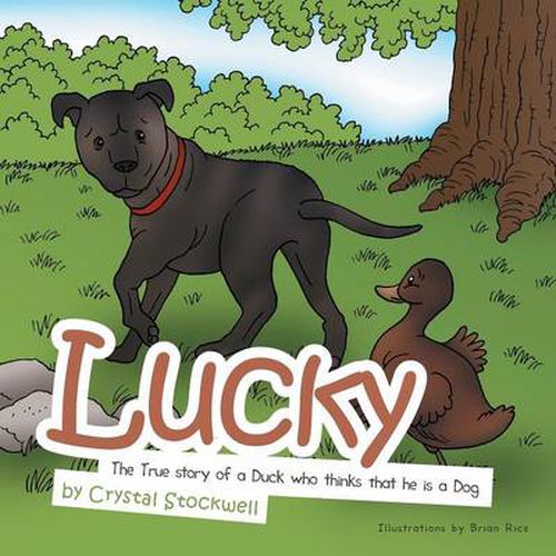 Cover image for Lucky