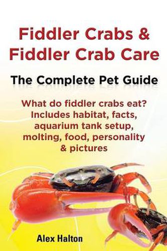 Cover image for Fiddler Crabs & Fiddler Crab Care. Complete Pet Guide. What do fiddler crabs eat? Includes habitat, facts, aquarium tank setup, molting, food, personality & pictures