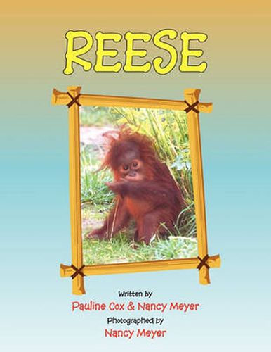 Cover image for Reese