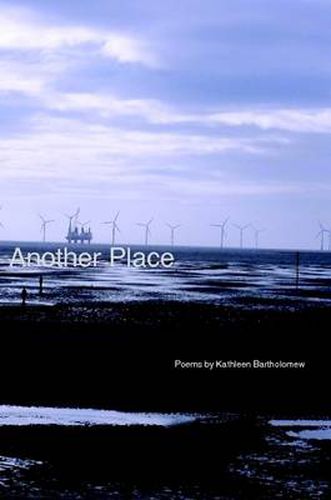 Cover image for Another Place